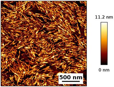 Pickering Emulsions Electrostatically Stabilized by Cellulose Nanocrystals